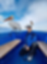 Profile Photo.png