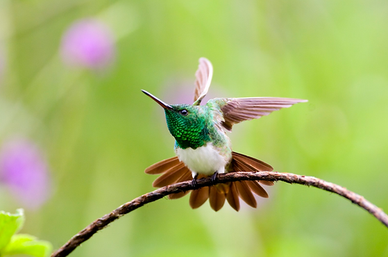 Screenshot 2024-02-27 at 09.48.54.png