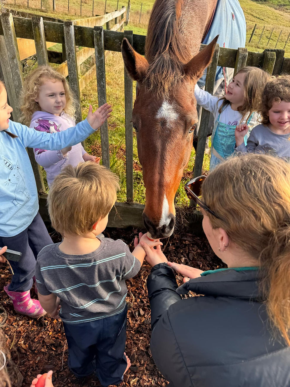 Feeding horse.jpg