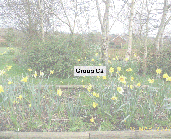 DSCF7007.JPG