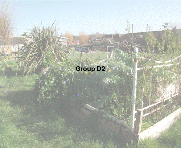DSCF7007.JPG