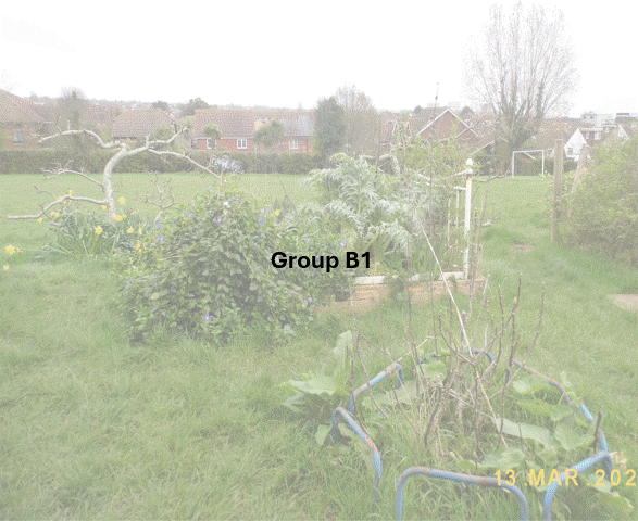 DSCF7007.JPG