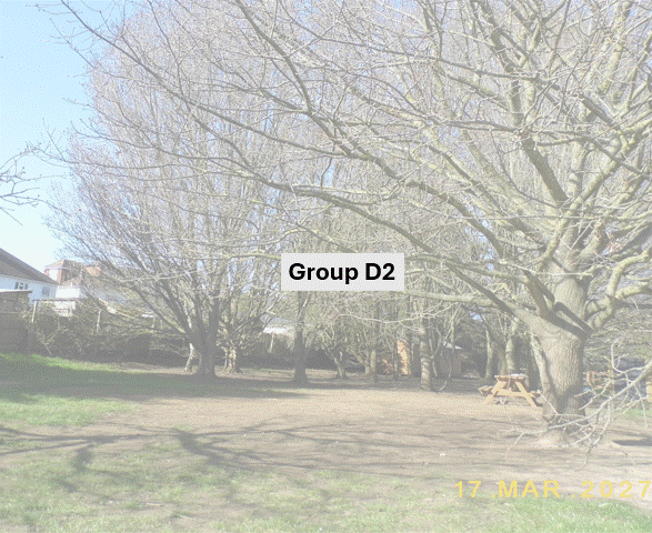 DSCF7007.JPG