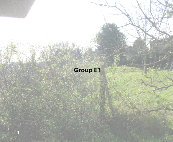 DSCF7007.JPG