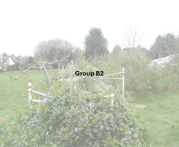 DSCF7007.JPG