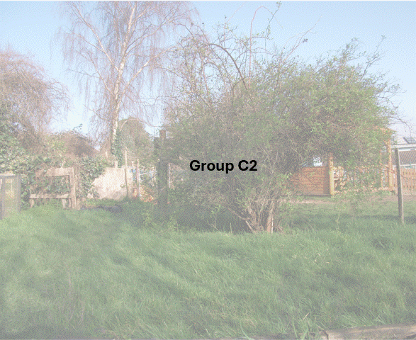 DSCF7007.JPG