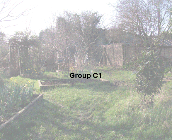 DSCF7007.JPG
