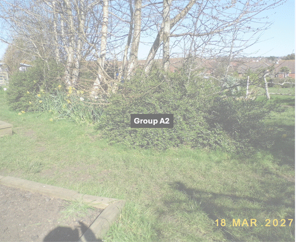 DSCF7007.JPG