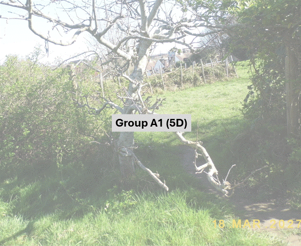 DSCF7007.JPG