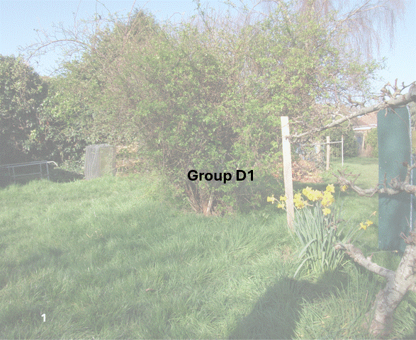 DSCF7007.JPG