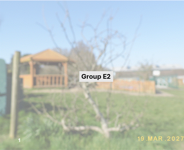 DSCF7007.JPG