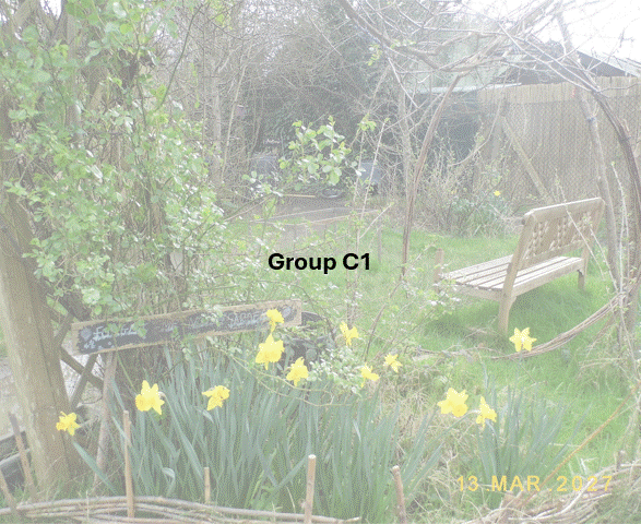 DSCF7007.JPG