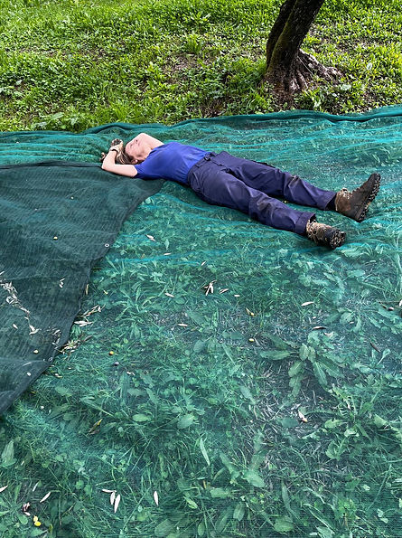 IMG-20251029-WA0011.jpg