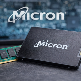 Chip van Micron