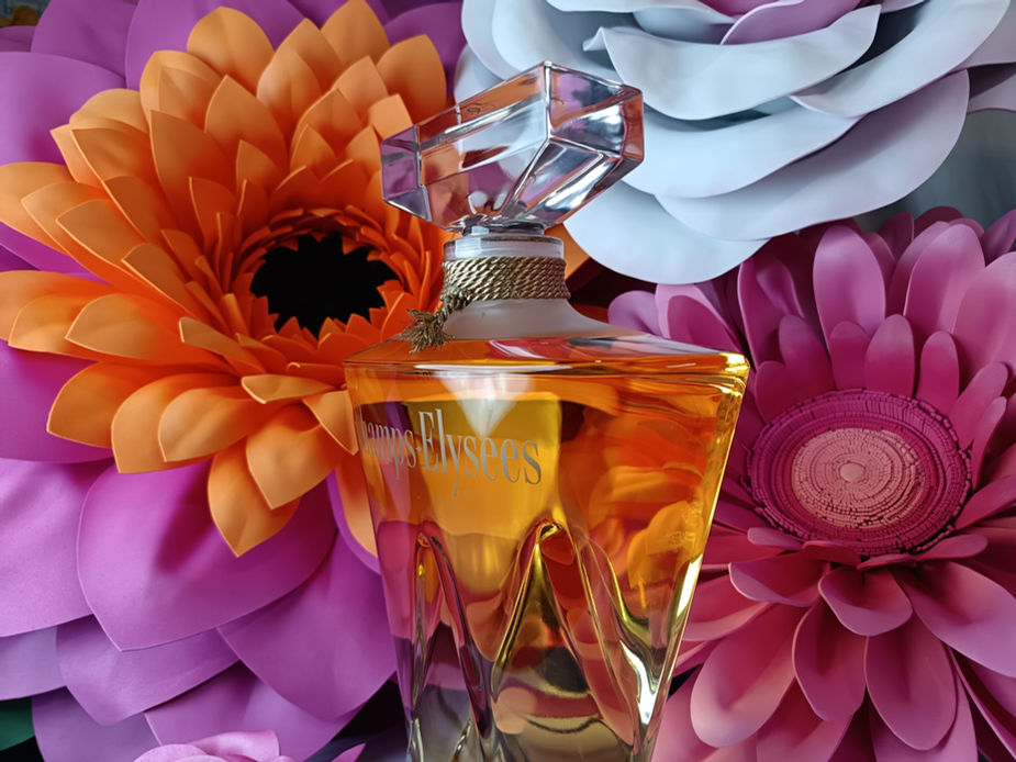 décoration florale fleurs XXL pour vitrine