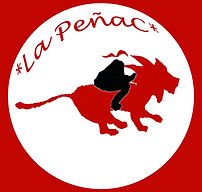 logo non lisible