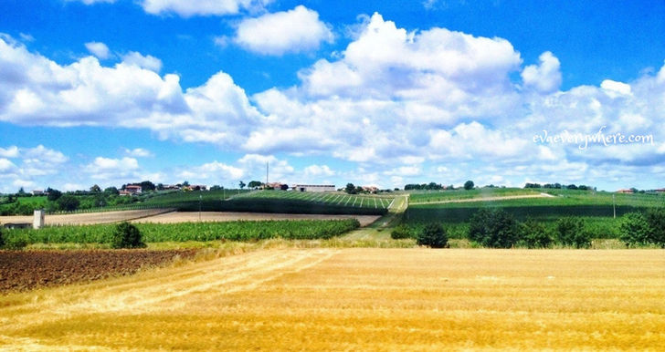 A GLIMPSE OF THE TUSCAN COUNTRYSIDE