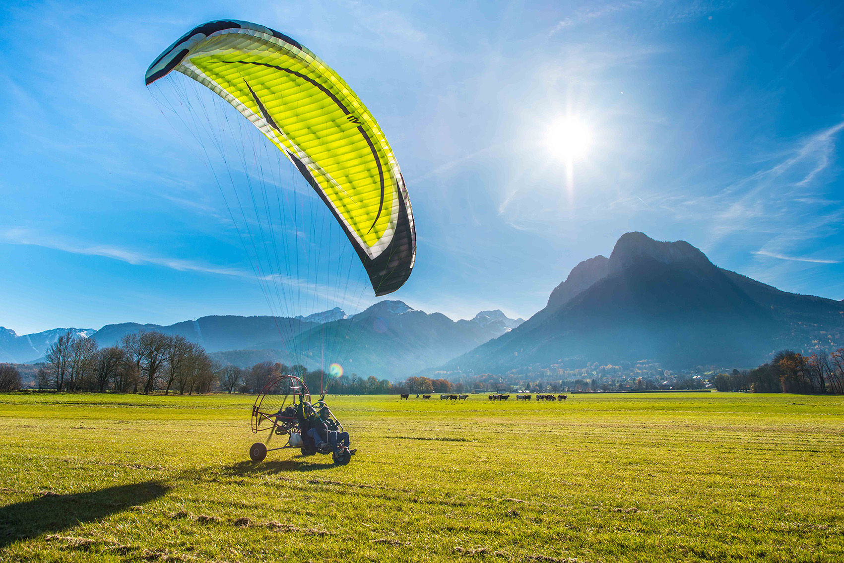 ITV Bulldog (Trike/Tandem)