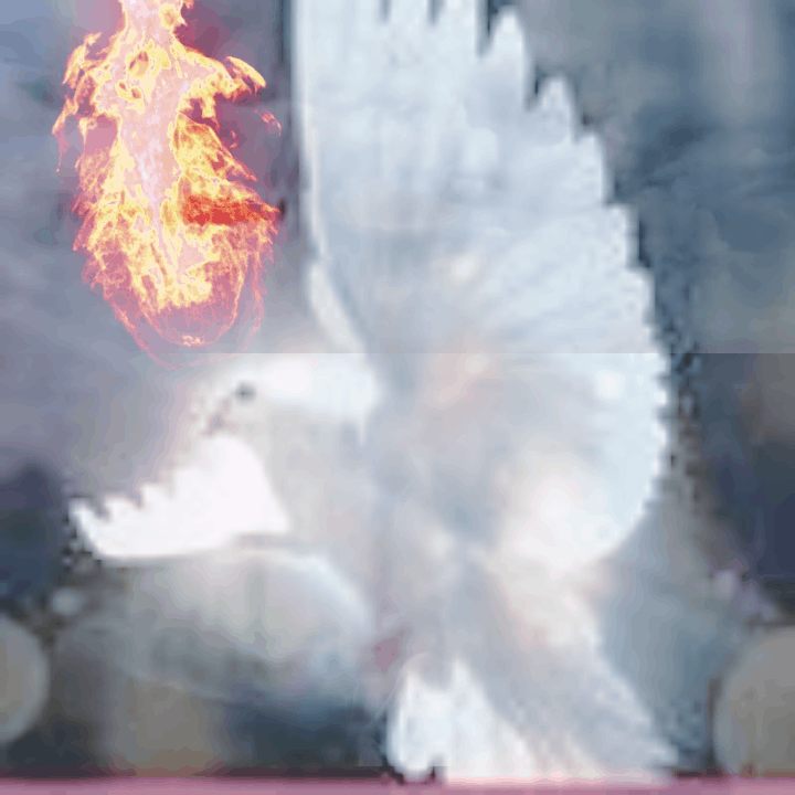 spiritual reflection and global prayer logo