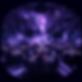 affertog_event_executiong_dark_purple_theme_with_people_179cba71-e576-4c99-ab88-95af9daa87