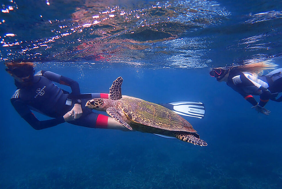 Pigeon Island: Exploring the Pristine Marine Paradise of Trincomalee