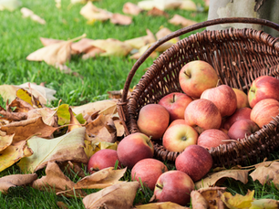 4 Top Apple Pick'n Spots This Season