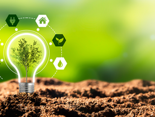 Ways to be More Sustainable in Your Home