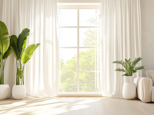 Window with a clean free home