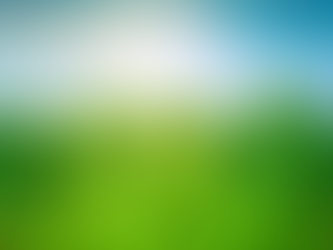 What Makes a Home Green?