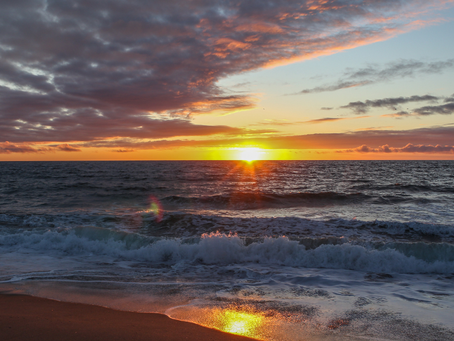 South Bay Living: Torrance and Carson
