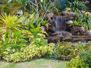 How To Transform Your Backyard Into Your Favorite Vacation Destination!