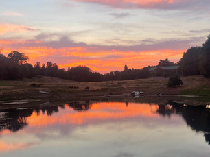 3 Great Local Excursion and Vacation Ideas to Consider