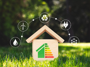 What Going Green Actually Looks Like Day to Day