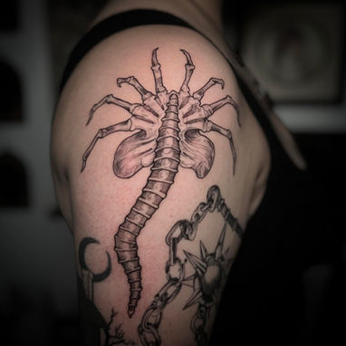 illustrative fine line horror tattoo of a face hugger alien 