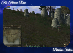 Fée Fleurie Rose DB