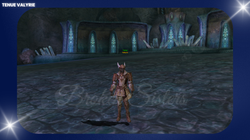 Tenue_Valkyrie_Lineage2_Fafurion_roleplay_jdr