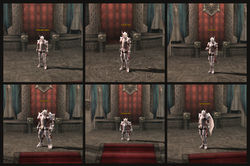 Chevalier_blanc_tenue_lineage2_broken_sisters_français_roleplay_mâle
