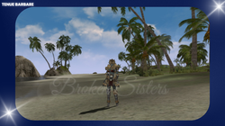 Tenue barbare costume cosplay Lineage 2 roleplay français