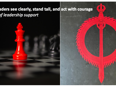 My vision of leadership support