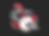 gladiators.png