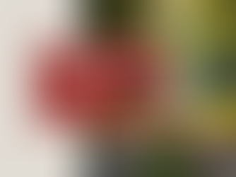 Grieving and Growing after divorce