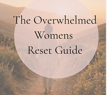 WHAT YOU'LL DISCOVERWhich of the 3 stages you're in right nowSurviving · Stabilising · Reb