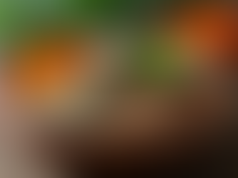 How Ancient Practices Inspire Modern Wellness