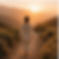 WHAT YOU'LL DISCOVERWhich of the 3 stages you're in right nowSurviving · Stabilising · Reb