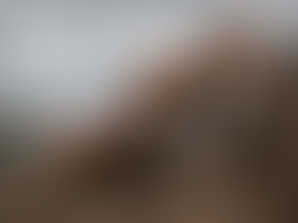 Understanding the Demolition Process: From Planning to Execution