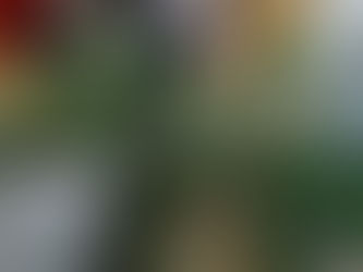 めいと中金杉★お芋ほり