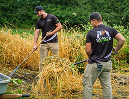 Landscaping_Property-Clean-Up_State-College-PA.jpg