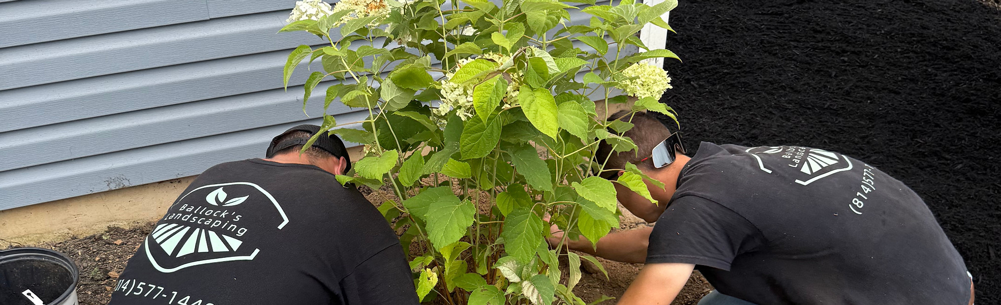 Tree, flower, and shrub planting in State College, Pa- Ballock's Landscaping