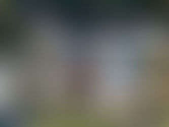 Zartes grün im Dorf