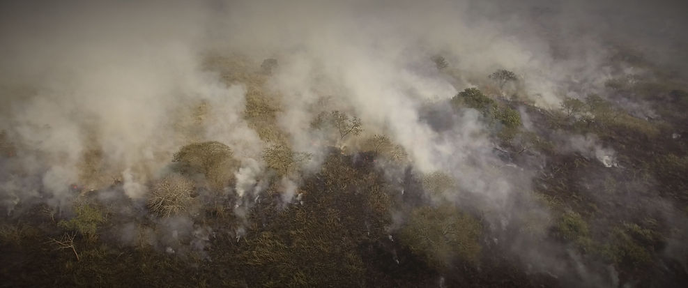 Amishinga Stills_4.15.20 copy.jpg